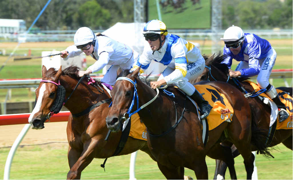 TOUCH OF CLASS: Adrian Coome celebrates after steering Shepiktus to win the Carly-Mae Pye Memorial race at the 2014 St Peter’s Caulfield Cup race day at Callaghan Park on Saturday. TOUCH OF CLASS: Adrian Coome celebrates after steering Shepiktus to win the Carly-Mae Pye Memorial race at the 2014 St Peter’s Caulfield Cup race day at Callaghan Park on Saturday.