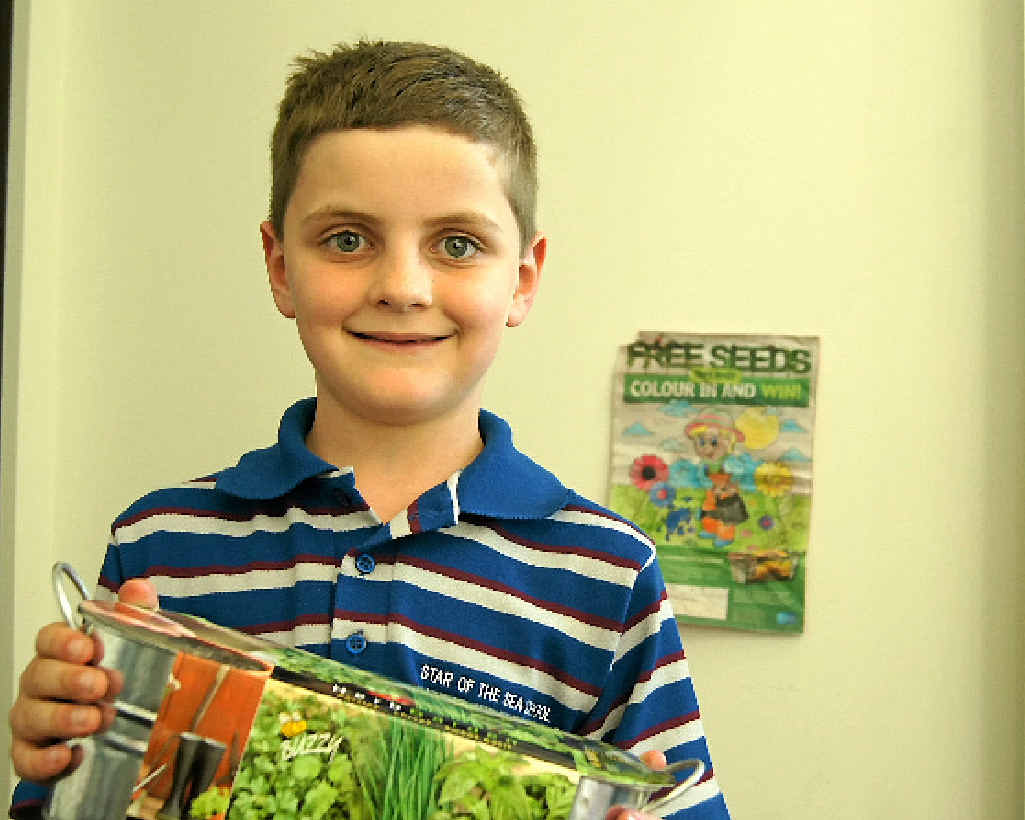 WINNERS: Thomas Hockings (clockwise from above), Levi Beale and Indie King took home a Windowsill Gardening Kit for being one of 10 children who won The Observer’s colouring competition. WINNERS: Thomas Hockings (clockwise from above), Levi Beale and Indie King took home a Windowsill Gardening Kit for being one of 10 children who won The Observer’s colouring competition.