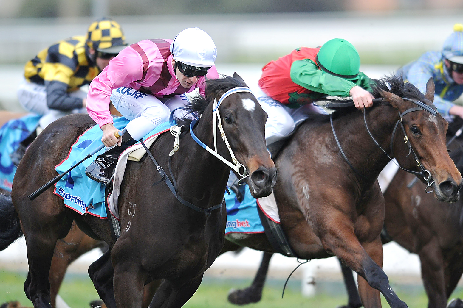 One reader questions the 'carnage' of horse racing. One reader questions the 'carnage' of horse racing.