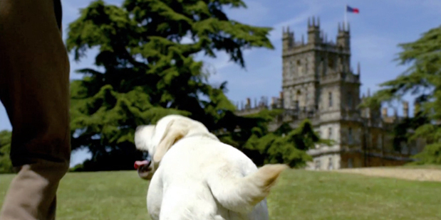 The dog even features in the programme's opening credits - but for how much longer? The dog even features in the programme's opening credits - but for how much longer?