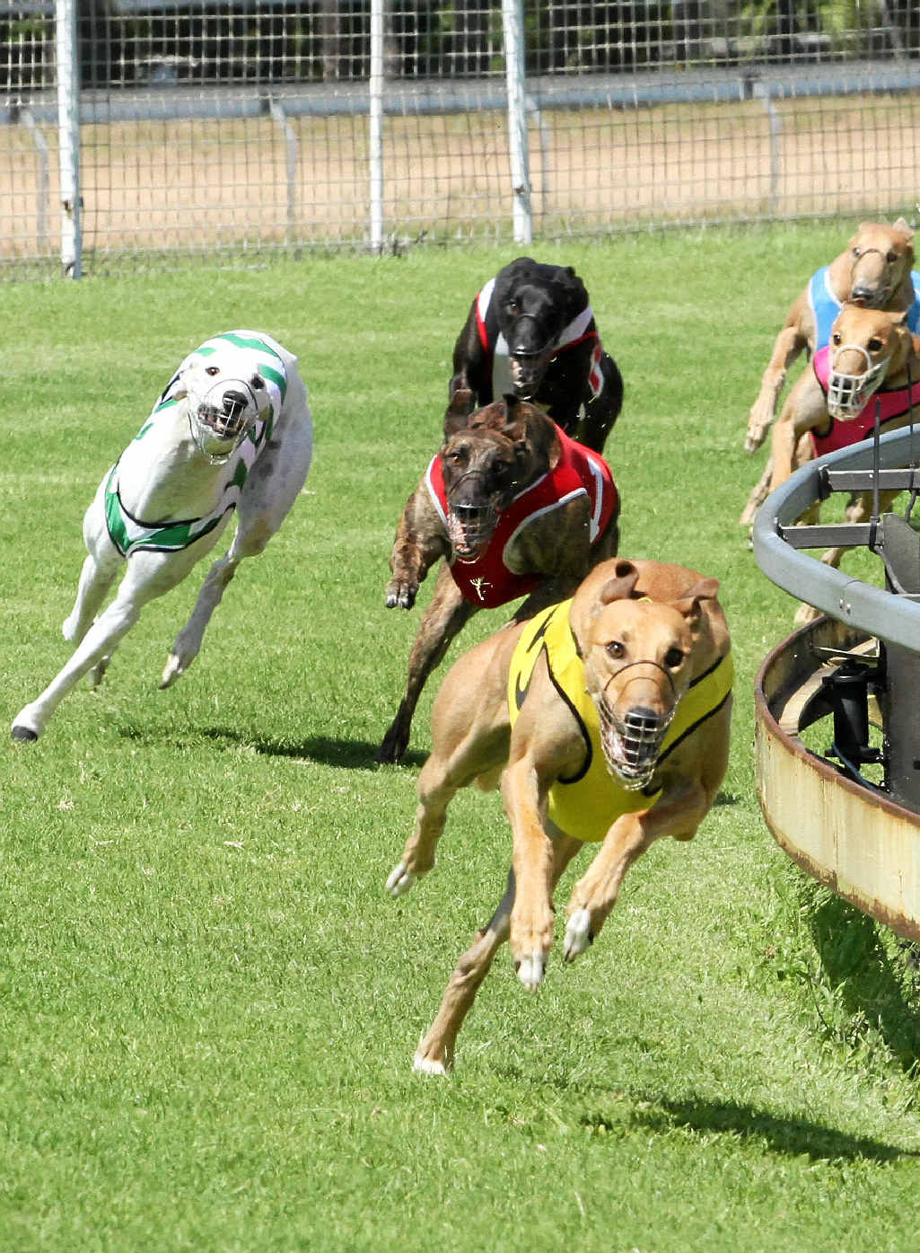 PROTECTED: There are a range of measures in place to protect the welfare of racing animals. PROTECTED: There are a range of measures in place to protect the welfare of racing animals.