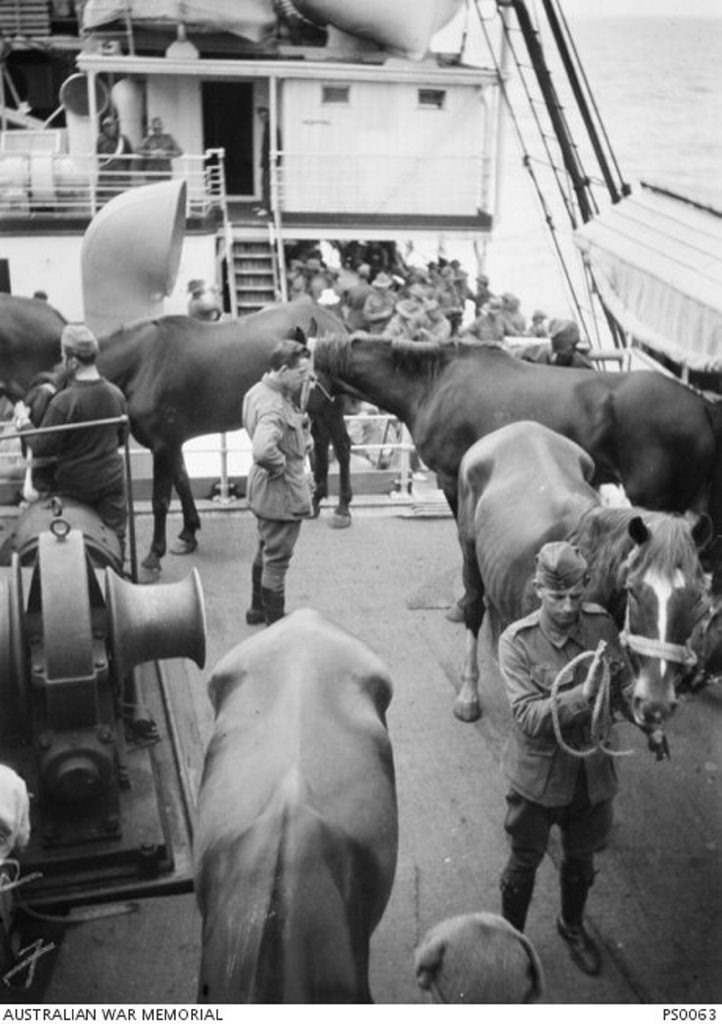 It was the duty of soldiers to exercise horses on deck and regularly clean out their stalls. Courtesy of Australian War Memorial PS0063 It was the duty of soldiers to exercise horses on deck and regularly clean out their stalls. Courtesy of Australian War Memorial PS0063