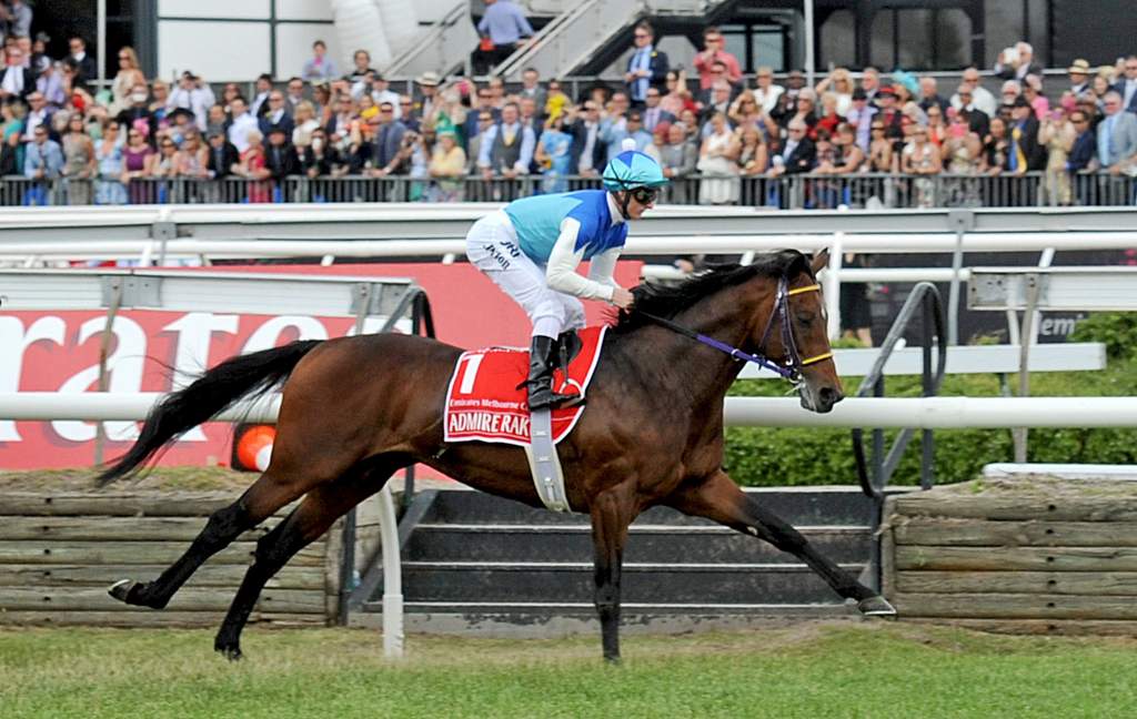 Melbourne Cup race favourite Admire Rakti riden by Zac Purton, pulls up after the Melbourne Cup race. Admire Rakti has died in his stall after finishing last in the Melbourne Cup. (AAP Image/Joe Castro) Melbourne Cup race favourite Admire Rakti riden by Zac Purton, pulls up after the Melbourne Cup race. Admire Rakti has died in his stall after finishing last in the Melbourne Cup. (AAP Image/Joe Castro)