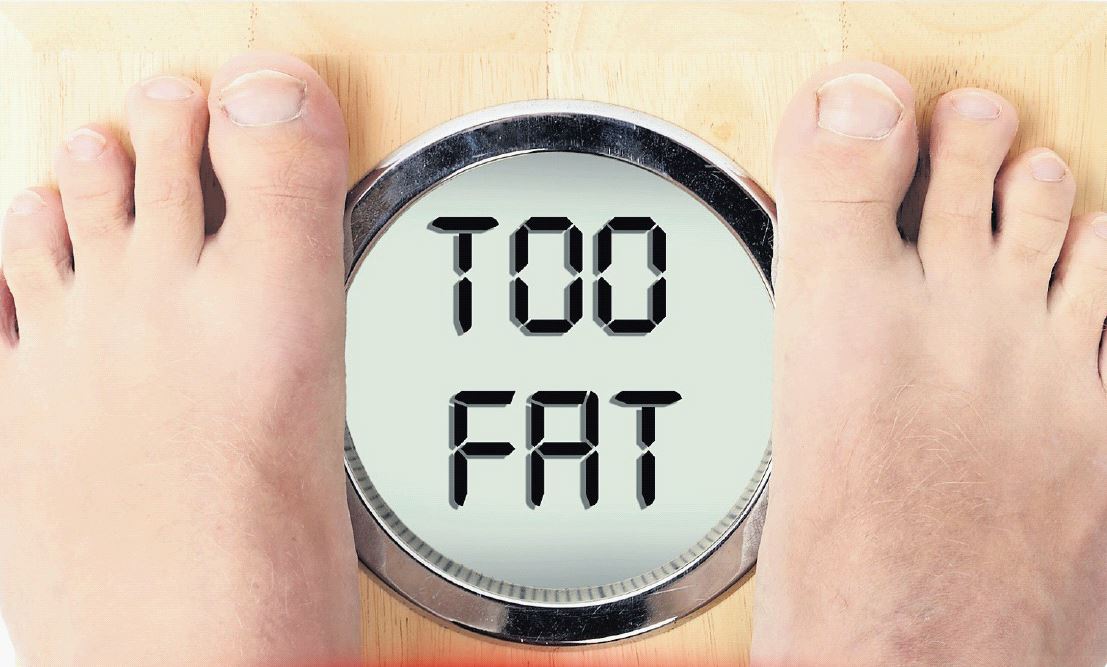 SHOULD overweight people pay for two seats on a plane if they take up extra room?