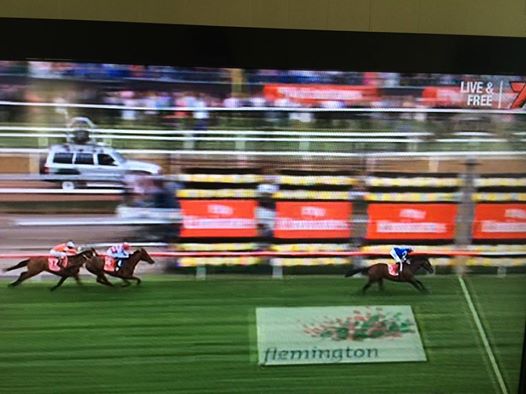 Protectionist wins the 2014 Melbourne Cup. Protectionist wins the 2014 Melbourne Cup.