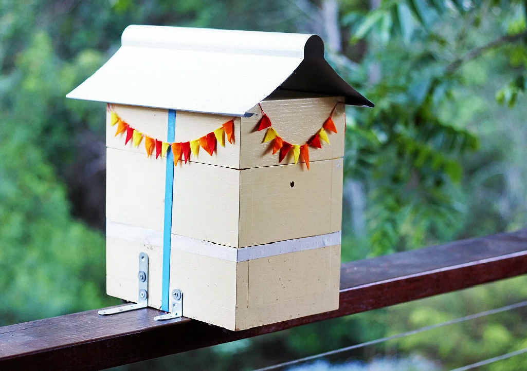 A native stingless bee “house”. A native stingless bee “house”.