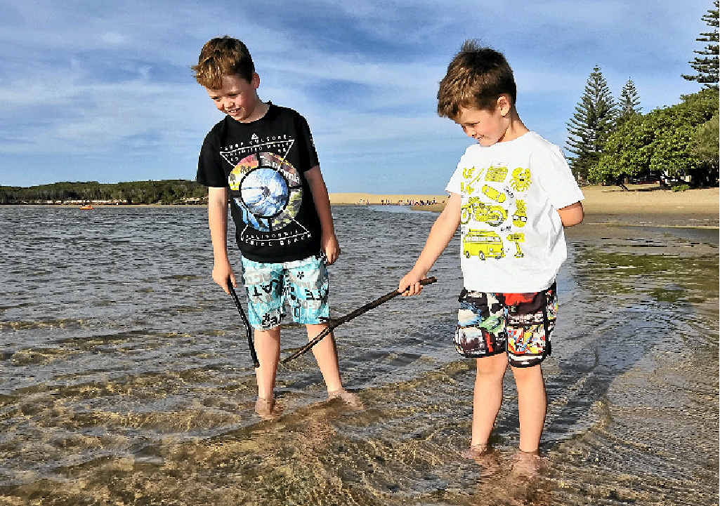 SHARP EYES: Harrison and Archer Bycroft tread warily after finding a blue-ringed octopus in the shallows at Currimundi Lake. SHARP EYES: Harrison and Archer Bycroft tread warily after finding a blue-ringed octopus in the shallows at Currimundi Lake.