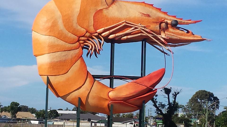 The Big Prawn The Big Prawn