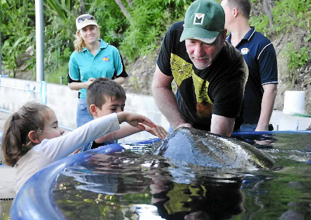 IN TOUCH WITH NATURE: Keyaan and his sister Leila give Delly a scratch with turtle carer Bob McCosker. Delly, the 140kg turtle, was released from Quoin Island Turtle Rehabilitation Centre via the Curtis Ferry Services on to Pelican Banks after being deemed healthy. IN TOUCH WITH NATURE: Keyaan and his sister Leila give Delly a scratch with turtle carer Bob McCosker. Delly, the 140kg turtle, was released from Quoin Island Turtle Rehabilitation Centre via the Curtis Ferry Services on to Pelican Banks after being deemed healthy.