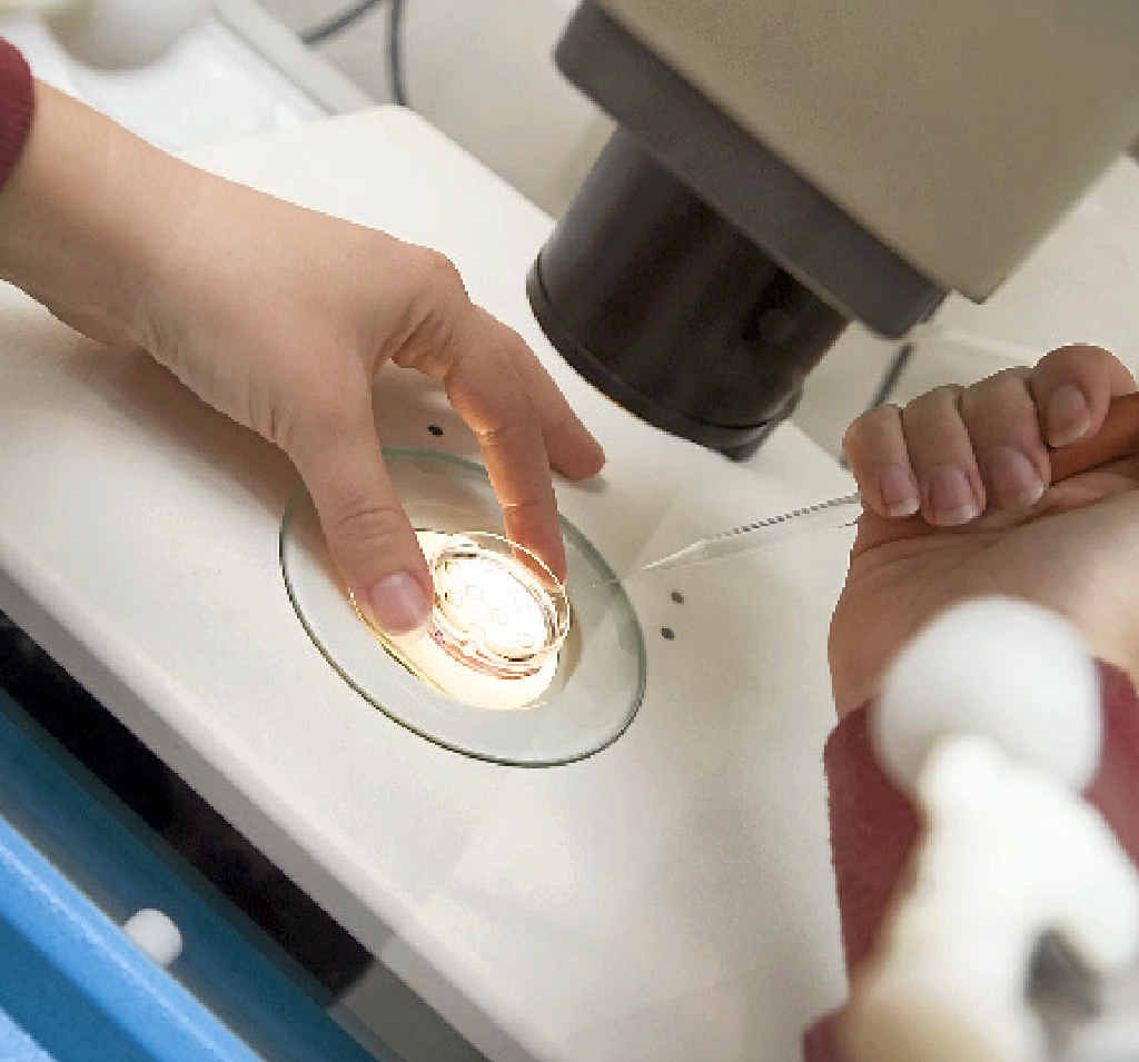 IVF isn't easy for any prospective parents. IVF isn't easy for any prospective parents.