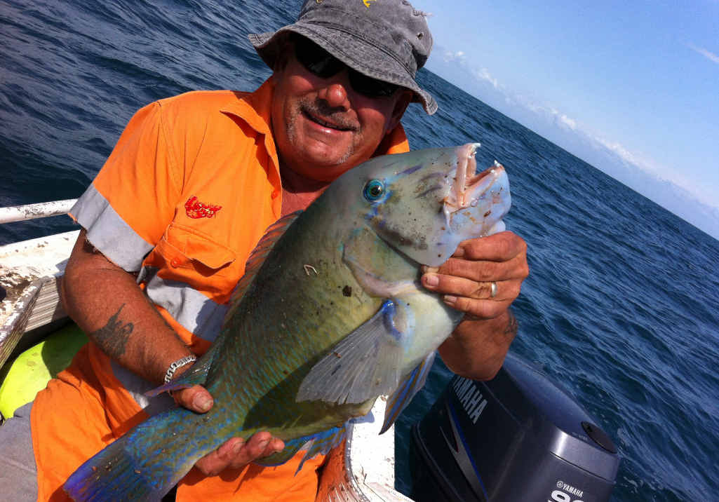 IT’S A KEEPER: Gary Webb caught a blue bone tusk fish off Turkey Beach on Saturday morning. IT’S A KEEPER: Gary Webb caught a blue bone tusk fish off Turkey Beach on Saturday morning.