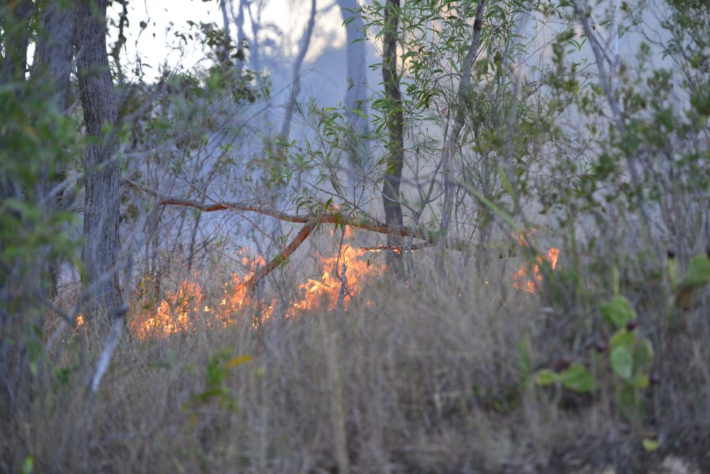 Three rural fire crews are fighting a fire near the Bruce Hwy. Three rural fire crews are fighting a fire near the Bruce Hwy.