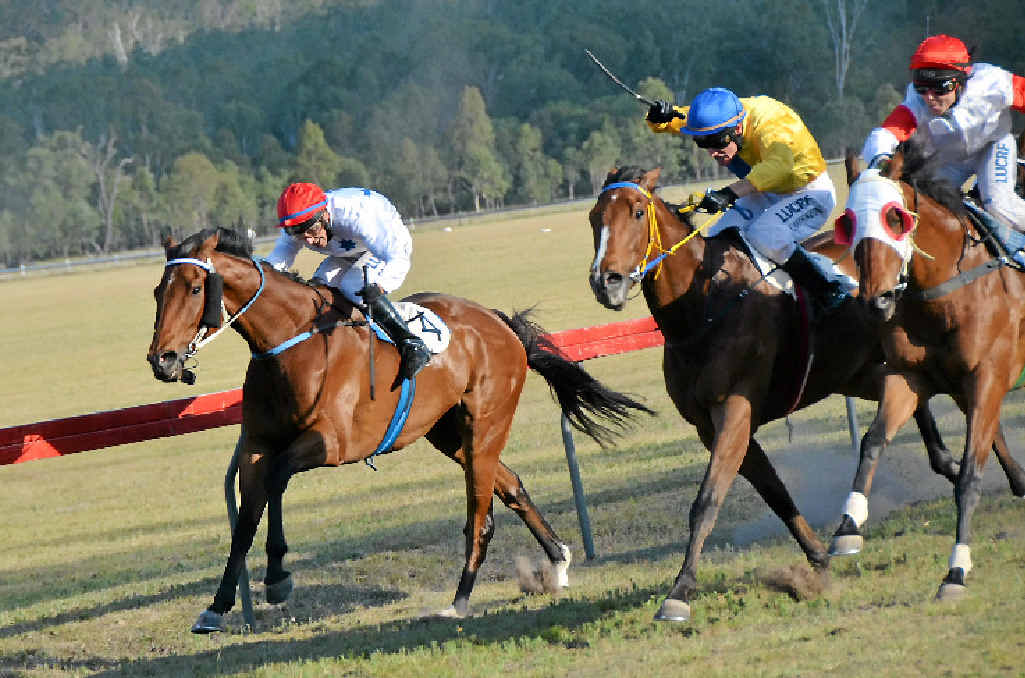 WINNERS: Glenthorn Avenue ridden by Jason Missen (centre) finished fast to win the Mt Perry Cup, Testascana ridden by Billie-Rose Derbyshire (right) was second, with Billy Goat ridden by Gary Geran third. INSERT: Evolution Mining Company CEO Mark Boon presents the cup to owner-trainer Lindsay Anderson. WINNERS: Glenthorn Avenue ridden by Jason Missen (centre) finished fast to win the Mt Perry Cup, Testascana ridden by Billie-Rose Derbyshire (right) was second, with Billy Goat ridden by Gary Geran third. INSERT: Evolution Mining Company CEO Mark Boon presents the cup to owner-trainer Lindsay Anderson.