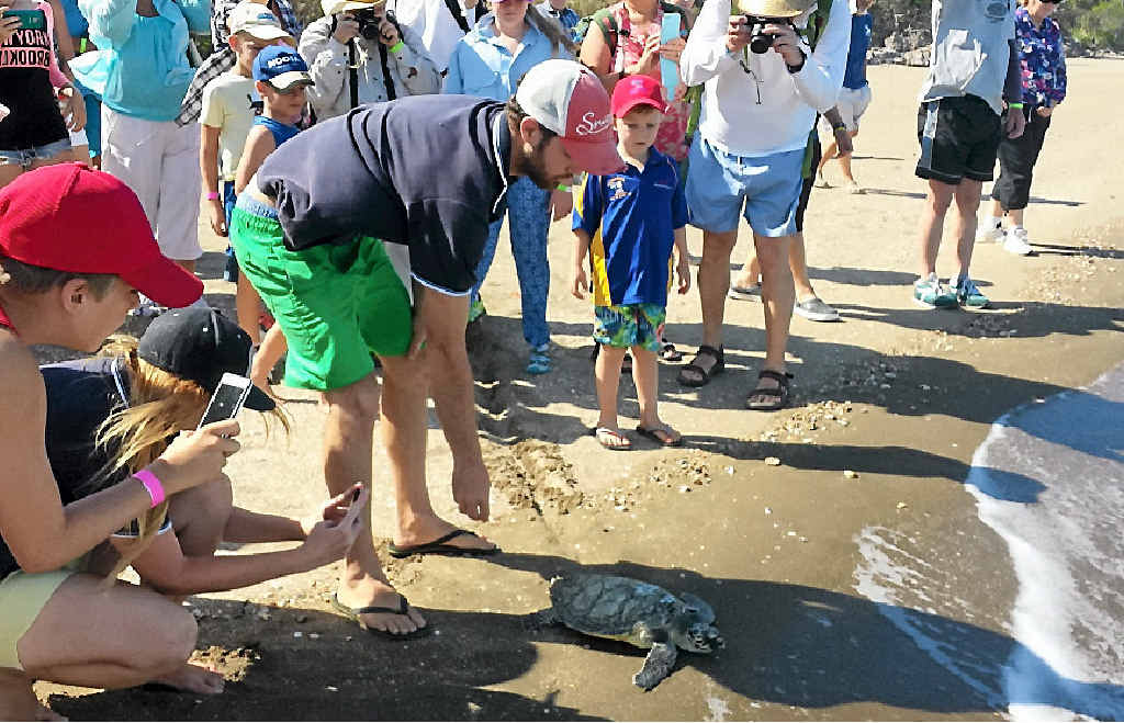 SAFE TRAVELS: Volunteers Kymberley O’Neill and Frank Scott released Flick with an audience on Quoin Island. SAFE TRAVELS: Volunteers Kymberley O’Neill and Frank Scott released Flick with an audience on Quoin Island.