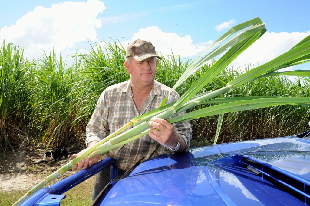 Fraser Coast cane farmers like Darryl Cronau face a shake up in the industry. Fraser Coast cane farmers like Darryl Cronau face a shake up in the industry.
