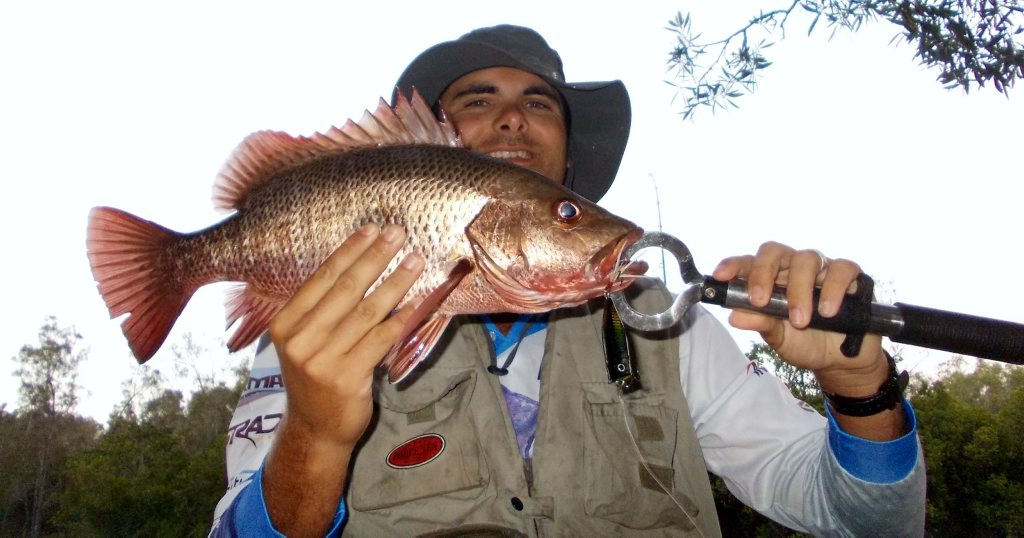 JACK ATTACK: Rock bars like those found in Petrie Creek are prime habitat for mangrove jack. This fish took Shannon Nichols' surface popper. JACK ATTACK: Rock bars like those found in Petrie Creek are prime habitat for mangrove jack. This fish took Shannon Nichols' surface popper.