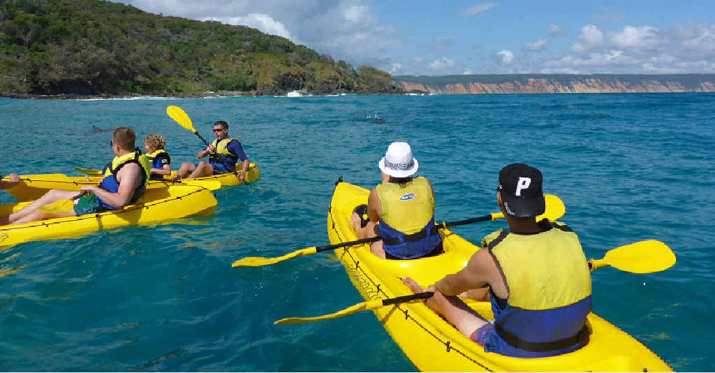 CLOSE ENCOUNTER: A kayaking group from Epic Ocean Adventures was joined by a docile leopard shark on Sunday. CLOSE ENCOUNTER: A kayaking group from Epic Ocean Adventures was joined by a docile leopard shark on Sunday.