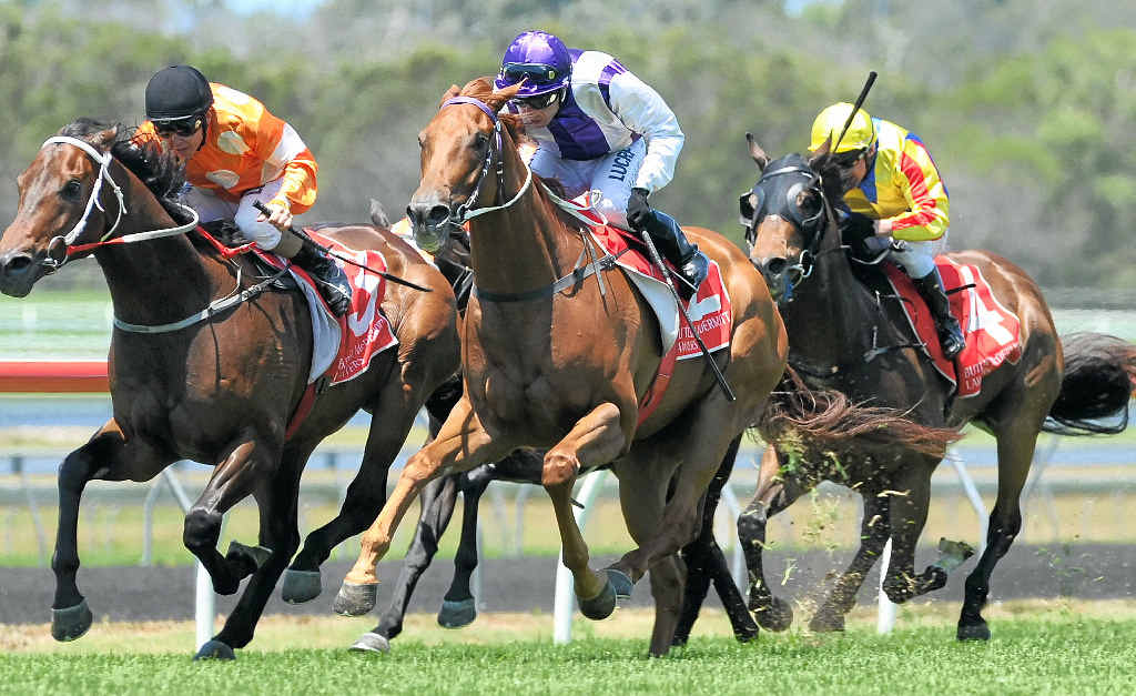 BRIGHT FUTURE: Victory Hotel (centre) wins race one for Bundaberg trainer Darryl Gardiner at Corbould Park. BRIGHT FUTURE: Victory Hotel (centre) wins race one for Bundaberg trainer Darryl Gardiner at Corbould Park.