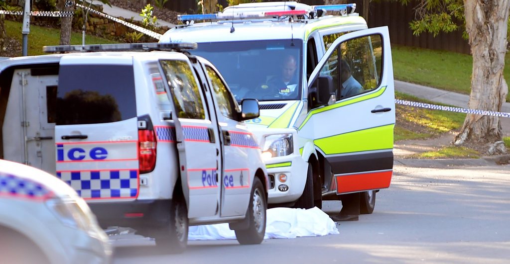 How many lives have police saved by attending domestic violence incidents? How many lives have police saved by attending domestic violence incidents?