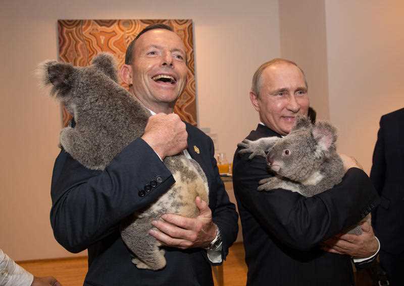 In this photo released by G20 Australia and taken on Saturday Nov 15, 2014, Prime Minister of Australia Tony Abbott and President of Russia Vladimir Putin hold koala's during a photo opportunity on the sidelines of the G-20 summit in Brisbane, Australia. In this photo released by G20 Australia and taken on Saturday Nov 15, 2014, Prime Minister of Australia Tony Abbott and President of Russia Vladimir Putin hold koala's during a photo opportunity on the sidelines of the G-20 summit in Brisbane, Australia.
