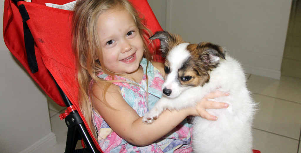 CALL FOR HELP: Emerald’s Ocean Neill has been diagnosed with Perthes disease and needs the community’s support. CALL FOR HELP: Emerald’s Ocean Neill has been diagnosed with Perthes disease and needs the community’s support.