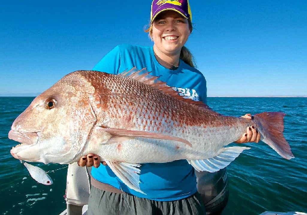 MEASURES UP: A 102cm snapper like this one is well within the law. MEASURES UP: A 102cm snapper like this one is well within the law.