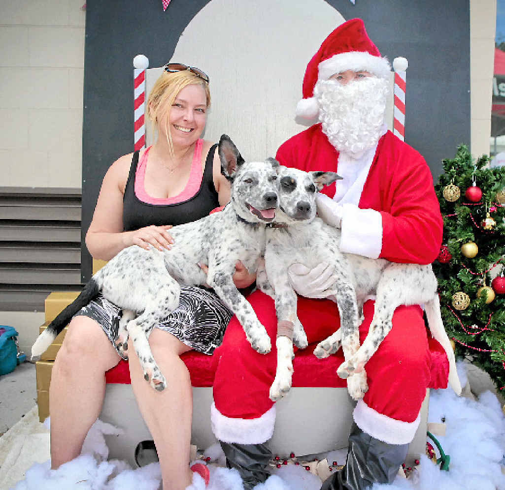CUTE DUO: Hunter and Patch have their photo taken with Santa and foster carer Kelly Shields. CUTE DUO: Hunter and Patch have their photo taken with Santa and foster carer Kelly Shields.