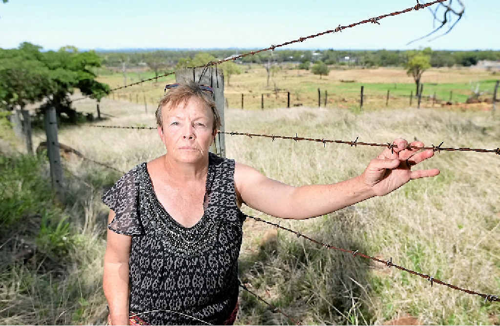 OH DEER: Animal activist Lyn Laskus is fighting to make sure that deer in the Lakes Creek Rd area are not culled this weekend, after concerned residents brought the issue to her attention. OH DEER: Animal activist Lyn Laskus is fighting to make sure that deer in the Lakes Creek Rd area are not culled this weekend, after concerned residents brought the issue to her attention.