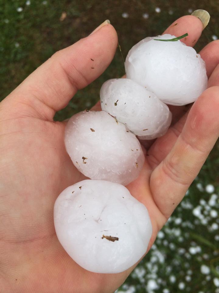 Hail at Black Mountain Cooroy. Photo by Jodie Crawford. Hail at Black Mountain Cooroy. Photo by Jodie Crawford.