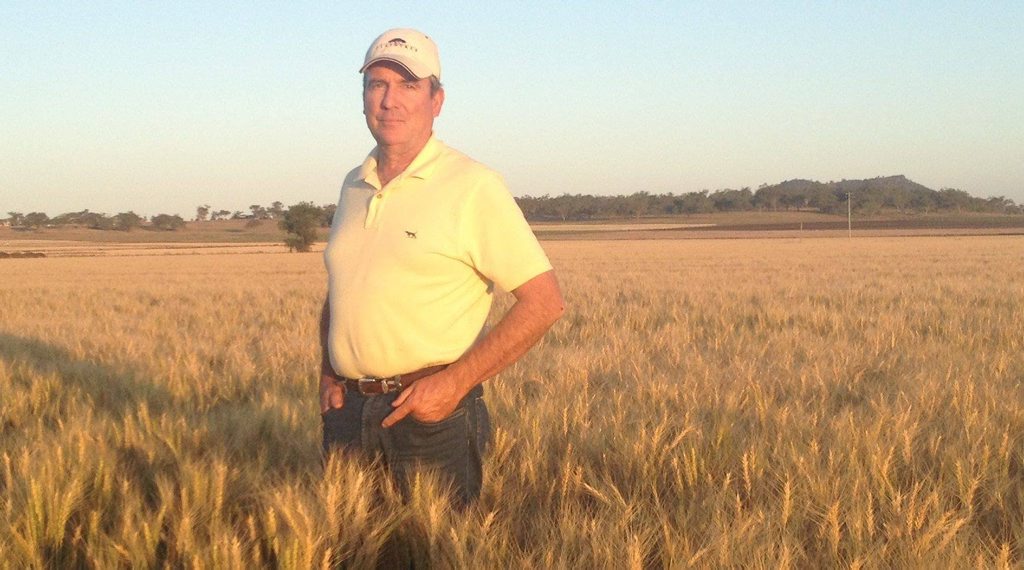Oakey vet Dr David Pascoe. Oakey vet Dr David Pascoe.