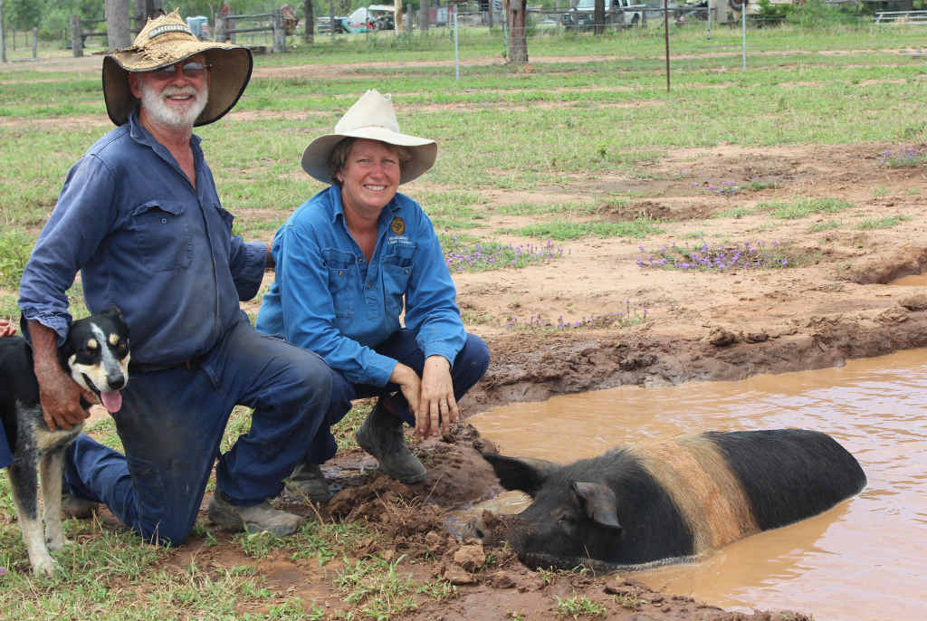 HAM IT UP: Kim and Lucy House let one of their favourite sows get down and dirty in the mud wallow at Dawson Valley Free Range piggery. HAM IT UP: Kim and Lucy House let one of their favourite sows get down and dirty in the mud wallow at Dawson Valley Free Range piggery.