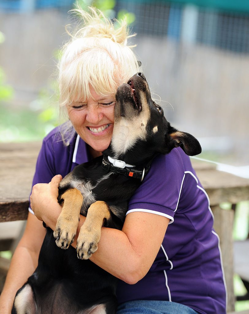 Daily readers have expressed their support for pet adoption. 