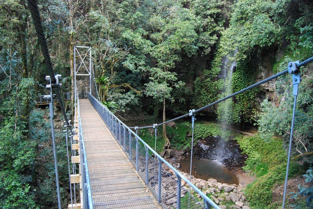 The suspension bridge provides great view of Crystal Shower Falls. Photo: NPWS The suspension bridge provides great view of Crystal Shower Falls. Photo: NPWS