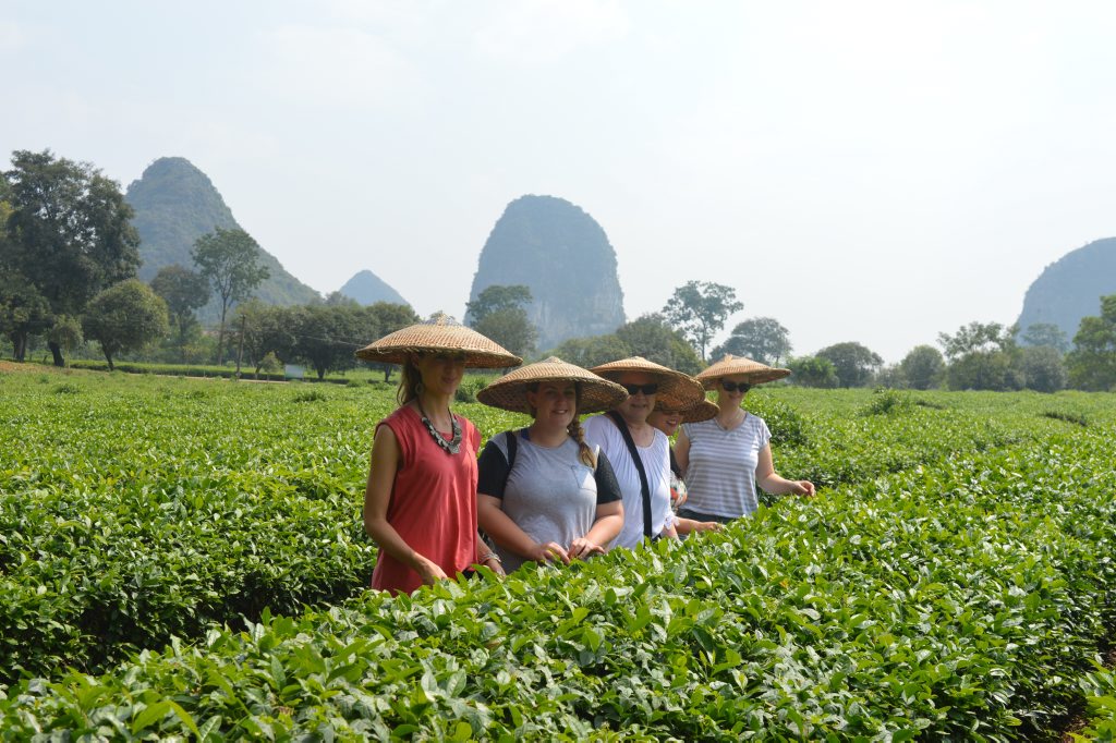 Megan Mackander (second from left) with her travel companions scouring through the Guilin tea plantation. Photo Megan Mackander / Sunshine Coast Daily Megan Mackander (second from left) with her travel companions scouring through the Guilin tea plantation. Photo Megan Mackander / Sunshine Coast Daily