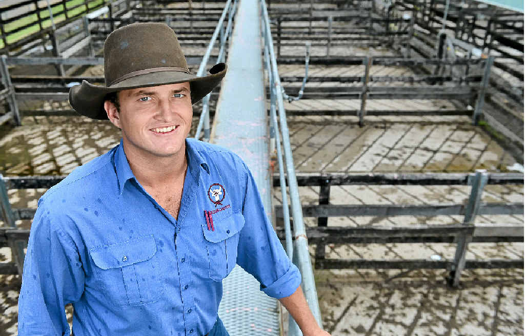 RIGHT NOTE: Sullivan Livestock auctioneer James Cochrane ready for the first cattle sale of the year at the Gympie Saleyards. RIGHT NOTE: Sullivan Livestock auctioneer James Cochrane ready for the first cattle sale of the year at the Gympie Saleyards.