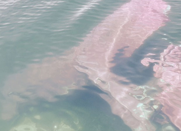 Wreckage of the plane lies in Lake Taupo. Photo / Michael Kelly Wreckage of the plane lies in Lake Taupo. Photo / Michael Kelly