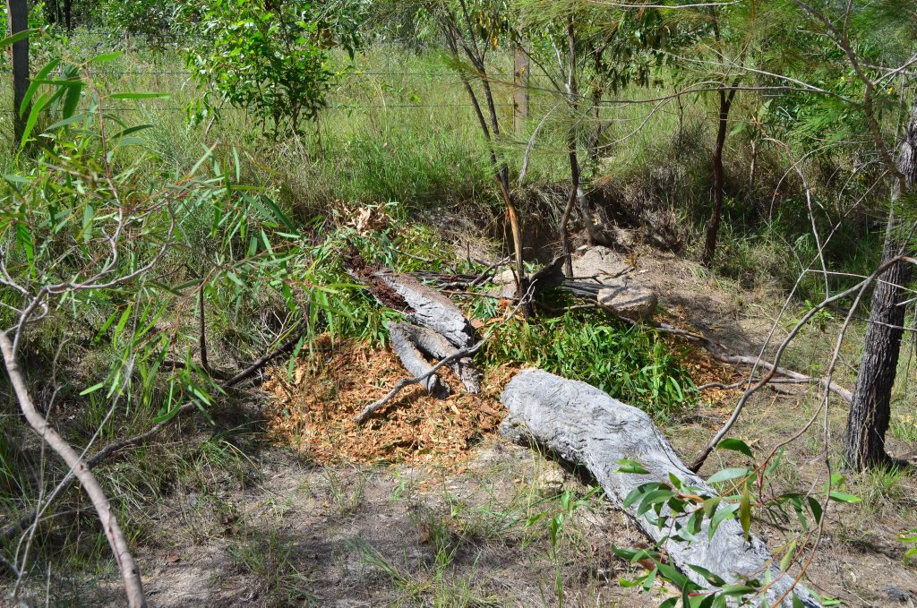The site where a dog was found tied to a tree south of Hutchins Rd on the Isis Highway. The site is about 7km south of Childers. Photo Matthew McInerney / NewsMail The site where a dog was found tied to a tree south of Hutchins Rd on the Isis Highway. The site is about 7km south of Childers. Photo Matthew McInerney / NewsMail