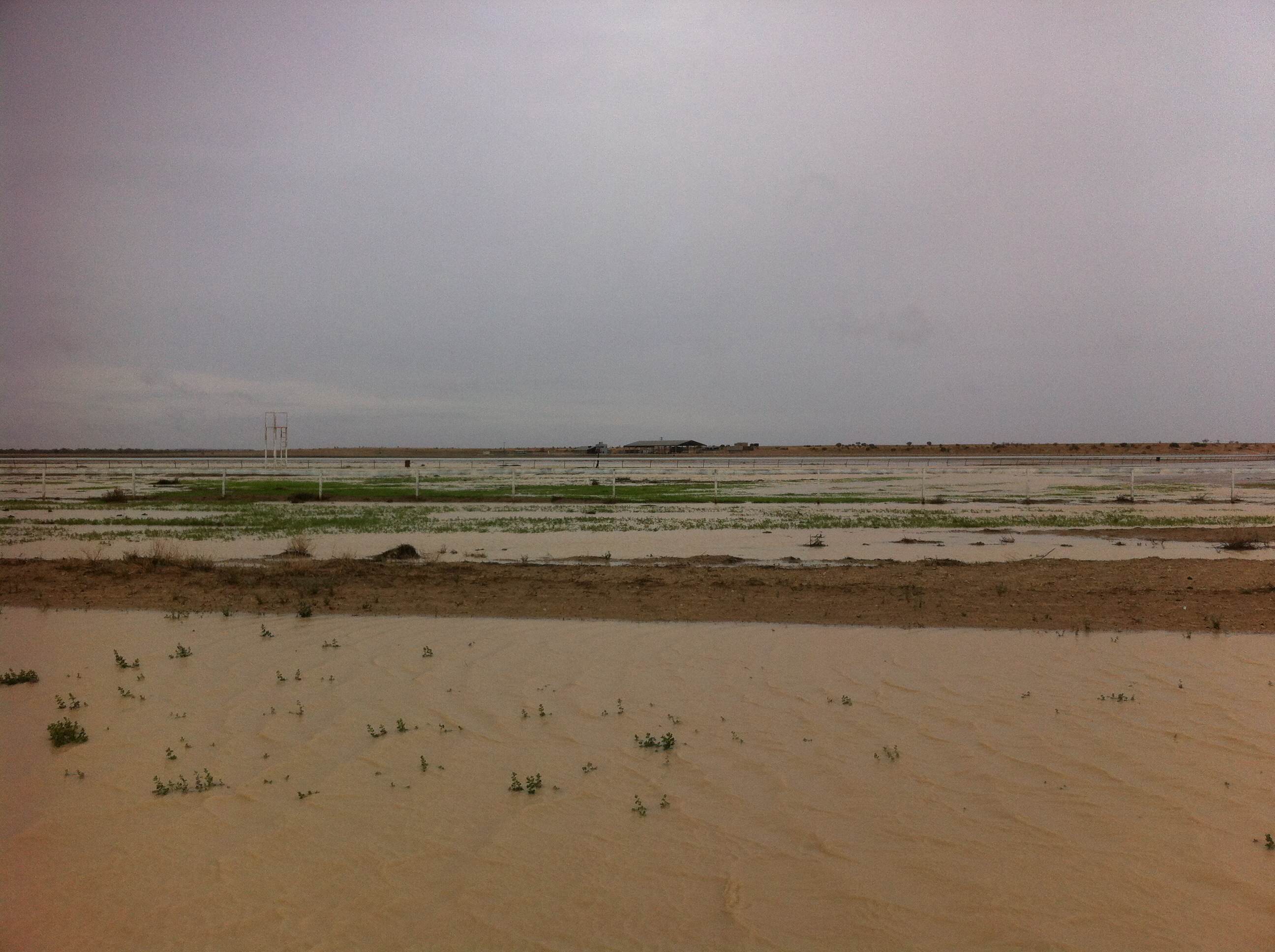Water at Birdsville race track. Water at Birdsville race track.