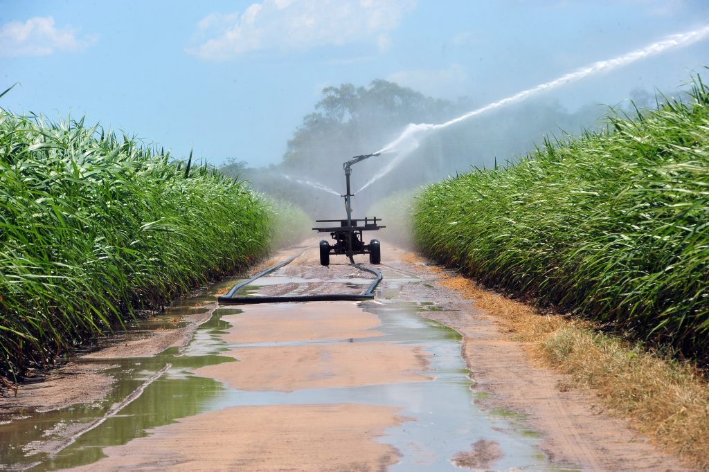WATERING CANE: Industrial size sprinklers irrigate a cane farm on Goodwood Road. Photo: Max Fleet / NewsMail WATERING CANE: Industrial size sprinklers irrigate a cane farm on Goodwood Road. Photo: Max Fleet / NewsMail
