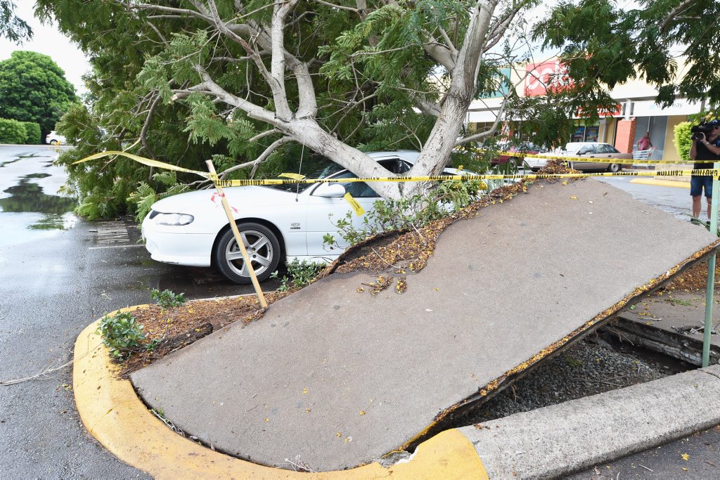 A car is crushed by an uprooted tree in the Station Square car park during a storm which dumped more than 50mm rain on Maryborough. A car is crushed by an uprooted tree in the Station Square car park during a storm which dumped more than 50mm rain on Maryborough.