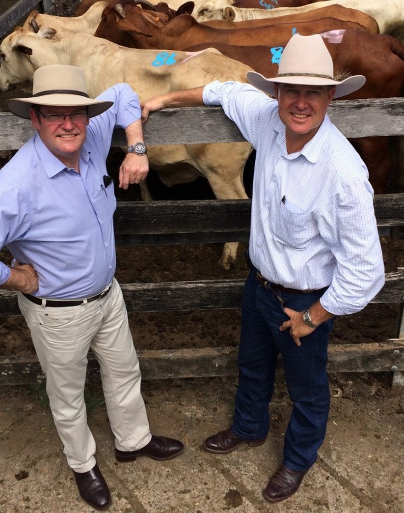 FULL SPEED AHEAD: Queensland Agriculture Minister John McVeigh with Gympie LNP candidate Tony Perrett at the Gympie cattle sales yesterday. Patrick Woods FULL SPEED AHEAD: Queensland Agriculture Minister John McVeigh with Gympie LNP candidate Tony Perrett at the Gympie cattle sales yesterday. Patrick Woods