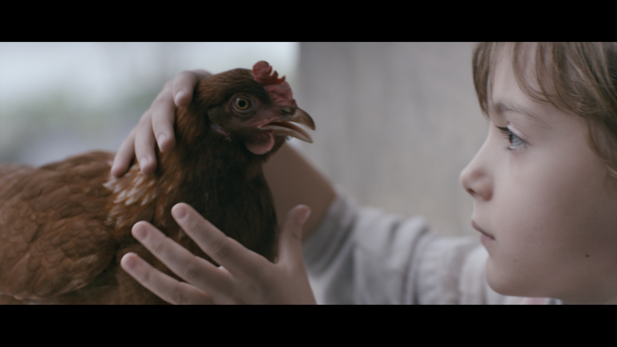 A still from the German short The Chicken (2014). A still from the German short The Chicken (2014).