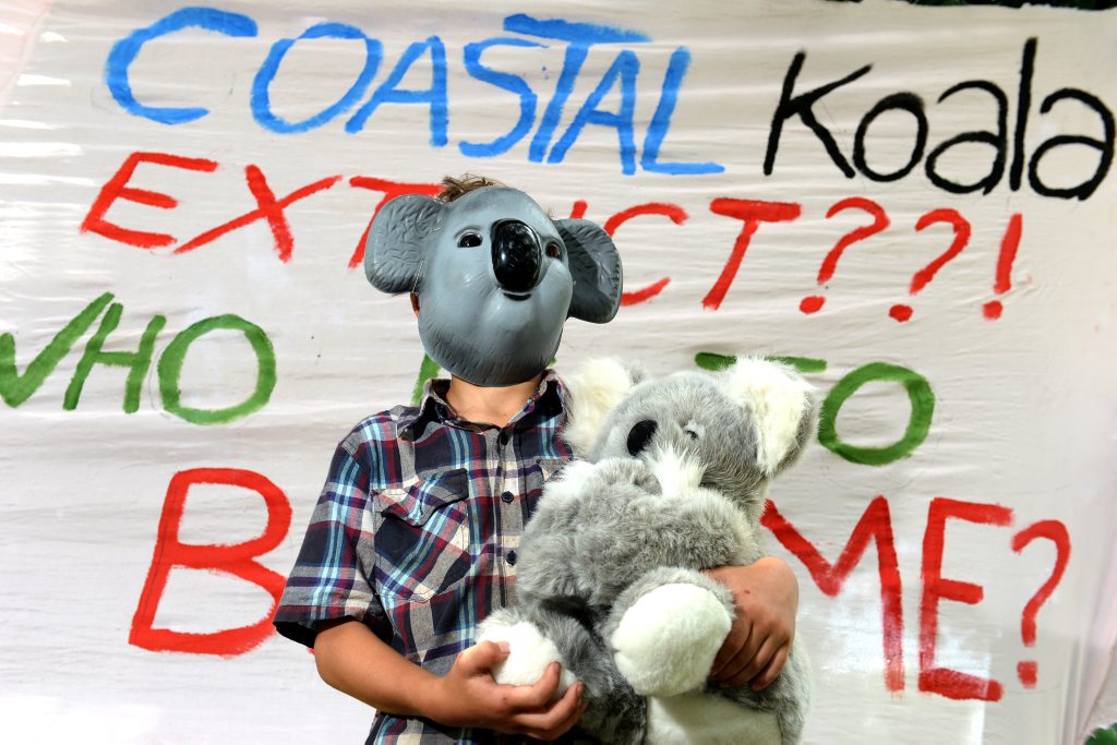 Tallowah Cullen age 7 of Tyalgum at the Koala march. Photo: John Gass / Tweed Daily News Tallowah Cullen age 7 of Tyalgum at the Koala march. Photo: John Gass / Tweed Daily News