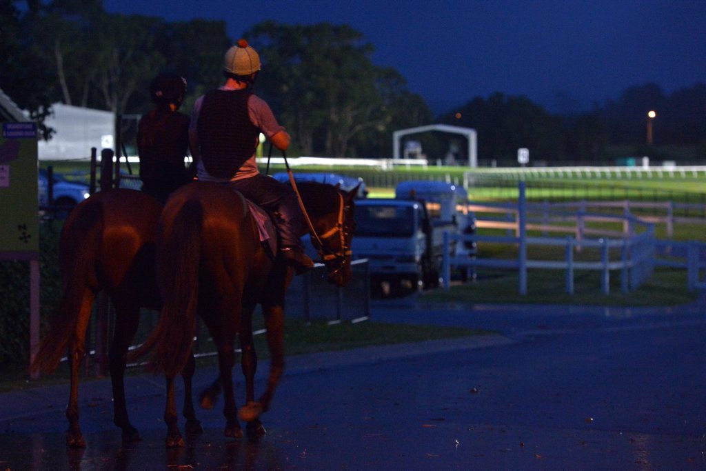 Pre dawn action behind the scenes at Sunshine Coast Racetrack, Corbould Park. Photo: John McCutcheon / Sunshine Coast Daily Pre dawn action behind the scenes at Sunshine Coast Racetrack, Corbould Park. Photo: John McCutcheon / Sunshine Coast Daily
