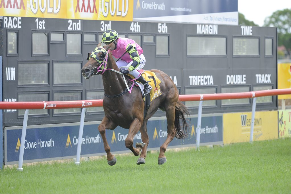 CRJC Race 3 Winner Hotel Drive with jockey Raymond Spokes on the Grafton Race track Sunday 25th January, 2015. Photo Debrah Novak / The Daily Examiner CRJC Race 3 Winner Hotel Drive with jockey Raymond Spokes on the Grafton Race track Sunday 25th January, 2015. Photo Debrah Novak / The Daily Examiner