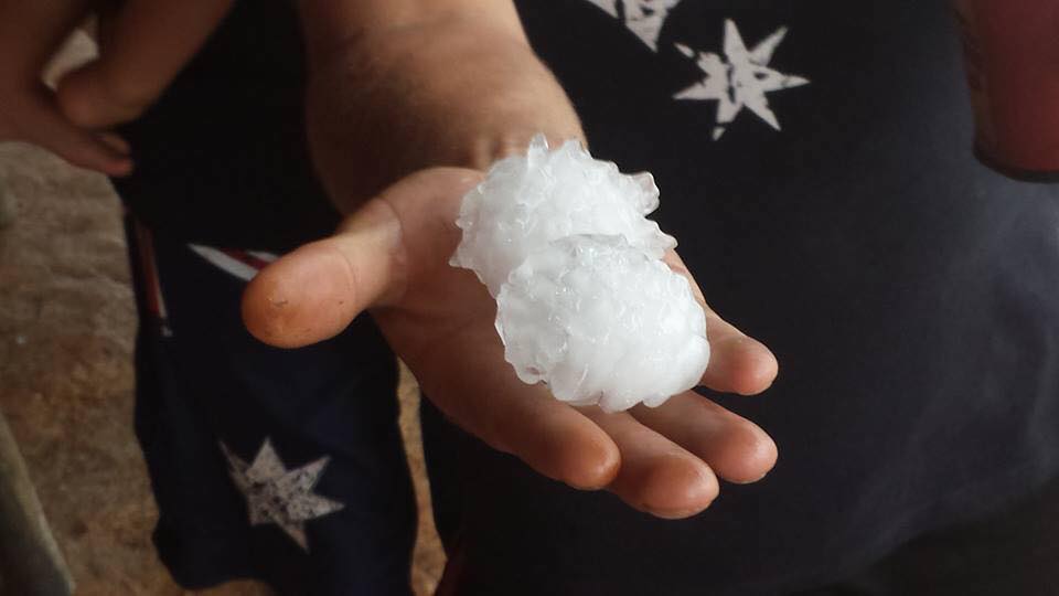 Large hailstones fell near Leyburn during wild storms yesterday afternoon. Large hailstones fell near Leyburn during wild storms yesterday afternoon.