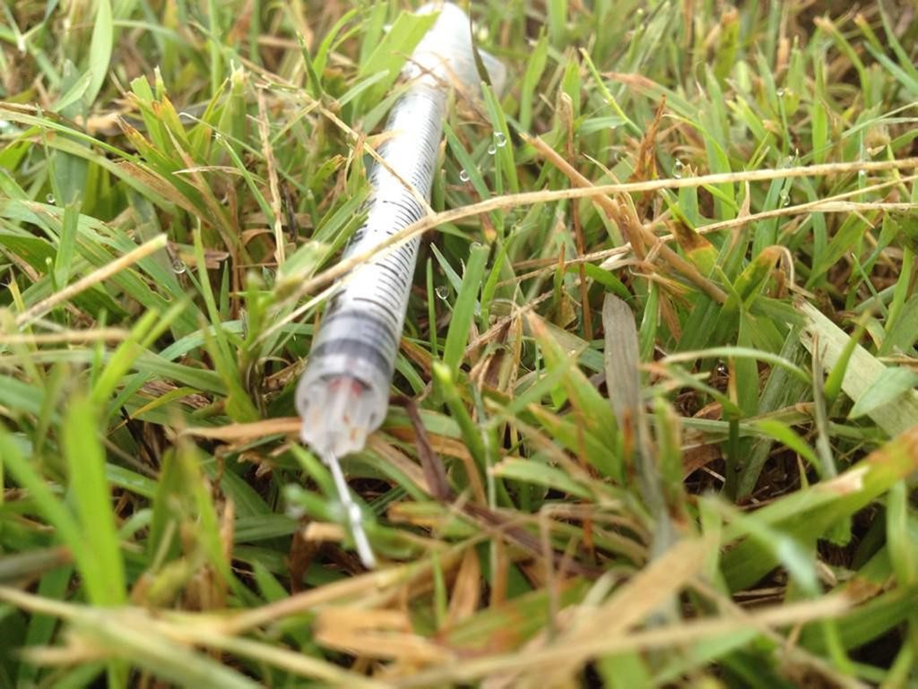 Used syringe laying on the grass at Local Sports Oval in Lismore. Corner Magellan & Brewster St. Used syringe laying on the grass at Local Sports Oval in Lismore. Corner Magellan & Brewster St.
