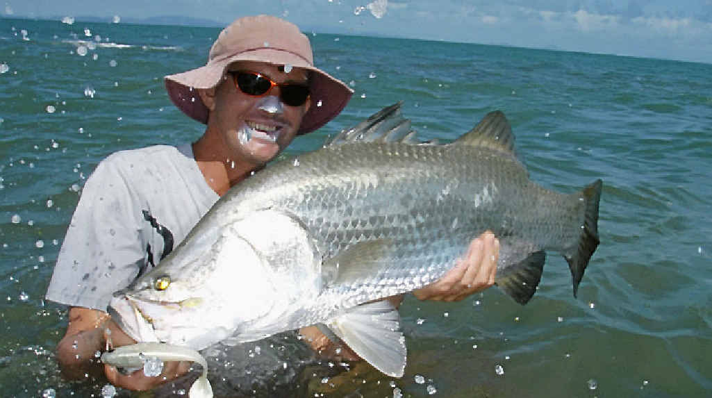 Johnny Mitchell with a nice barramundi, which will be back in season starting midday Sunday. Johnny Mitchell with a nice barramundi, which will be back in season starting midday Sunday.