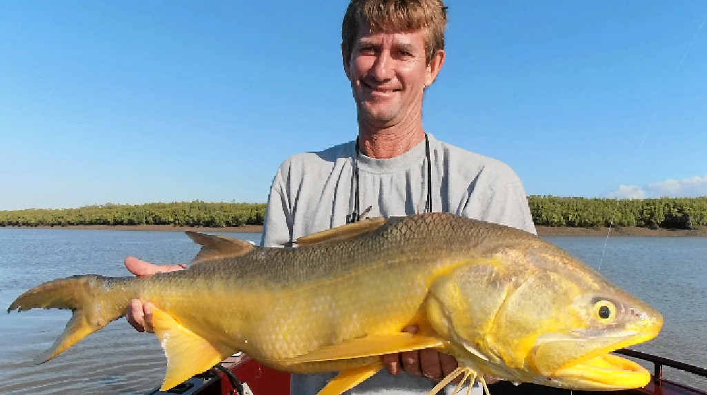 Zane Read showing off a great king or threadfin salmon. Zane Read showing off a great king or threadfin salmon.