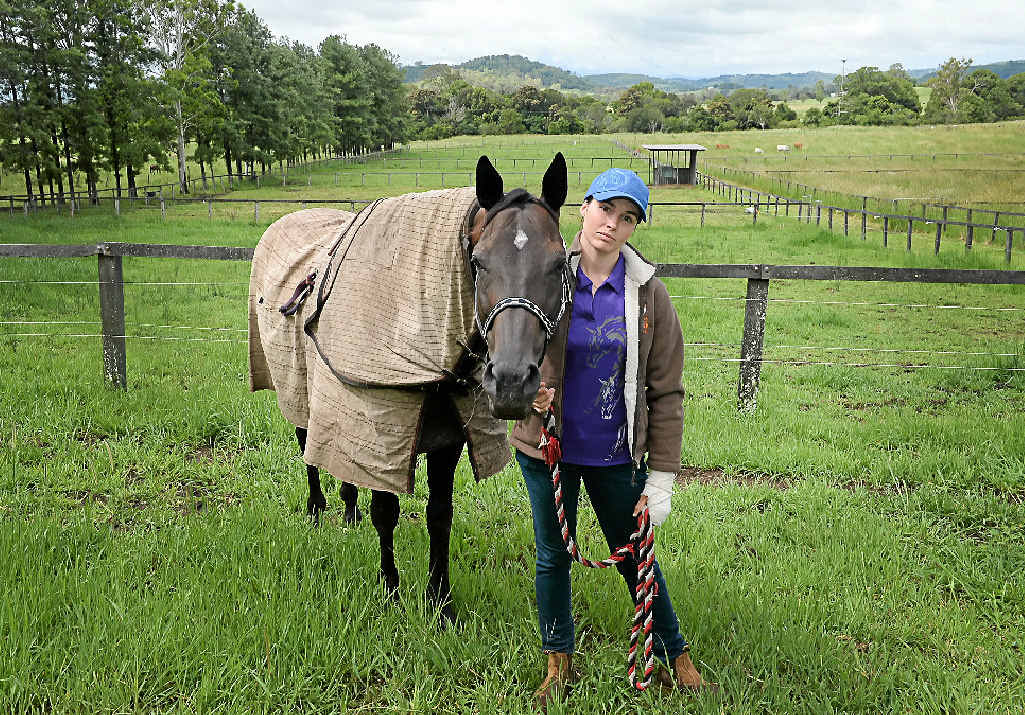 EXPENSIVE BUSINESS: Horse owner Mykaella Gosper, from Blakebrook, had to vaccinate seven horses for the North Coast National last year. EXPENSIVE BUSINESS: Horse owner Mykaella Gosper, from Blakebrook, had to vaccinate seven horses for the North Coast National last year.